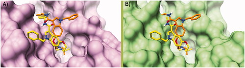 Figure 3. Binding poses calculated for compound 7 (orange and yellow) rigidly translated into the hCA I structure (PDB ID 6EVR, pink surface, A) and hCA II structure (PDB ID 3K34, green surface, B). All the pictures were rendered using UCSF Chimaera softwareCitation61.