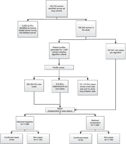 Figure 1 Identification process and outcome for breast cancer case adjudication