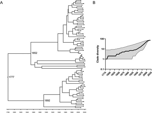 Figure 4. Phylodynamic analysis of the major Eu2 clade (Red clade in Figure 2, recovered between 2002 and 2021). A total of 72 genomes were analysed using BEAST2 applying a TMP1uf substitution model together with a relaxed exponential clock and a coalescent exponential population. A. Time-calibrated maximum clade credibility tree with posterior support for major nodes shown with grey bars indicating the 95% highest posterior density intervals for node date estimates. In the horizontal axis, the chronological years are represented. B. Lineage-through-time analysis using median values with a 95% confidence interval. In the horizontal axis, the chronological years are represented.