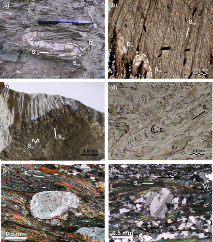 Figure 8. Deformational phases recognized for SU metapelites both at mesoscale (a,c) and microscale (b, d): (a) isoclinal fold of a quartz lens within phyllites near Bagaladi village; (b) thin section showing relationships between S0H and S1H foliations; (c) S2H crenulation cleavage visible into a micaschist of SU (biotite metamorphic zone); (d) thin section of a biotite-chlorite schist showing axial planes of microfolds forming a clear new foliation (S2H); (e) Shear deformational phase recognized in fine grained albite-paragneisses of SU highlighted by rounded feldspar clast with asymmetrical strain shadows where muscovite grows; (f) strain shadows of feldspar indicating a top-to-the west sense of shear (sample collected near San Lorenzo village, southern sector of study area).