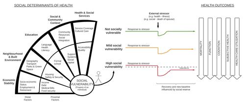 Figure 1 Conceptual model linking the social determinants of health to social vulnerability and health outcomes.