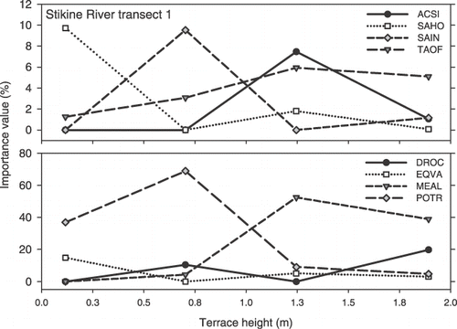 FIGURE 7 Changes in importance of plant species with increasing terrace height on Stikine River transect 1. Species abbreviations: ACSI  =  Achillea sibirica; DROC  =  Dryas octopetala; EQVA  =  Equisetum variegatum; MEAL  =  Melilotus albus; POTR  =  Populus trichocarpa; SAHO  =  Salix hookeriana; SAIN  =  Salix interior; TAOF  =  Taraxacum officinale.