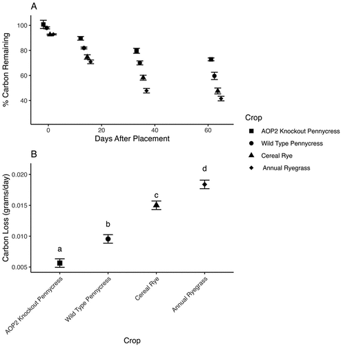 Figure 3. A. Percent of total carbon remaining over the 84-day study period with best-fit regression line to demonstrate carbon loss. B. Estimated marginal means of carbon loss (k) by species for the whole study period. Letters indicate significant differences at an alpha of 0.05.