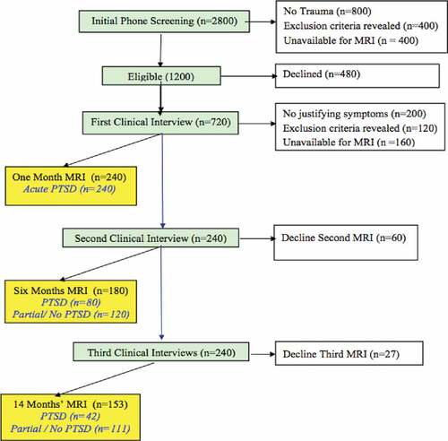 Figure 1. Study flowchart.