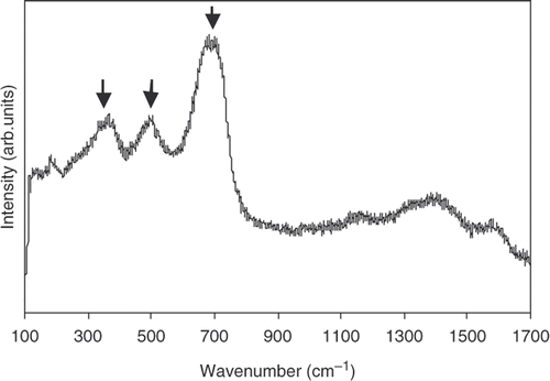 Figure 3. Raman spectra of Fe3O4 nanoparticles.