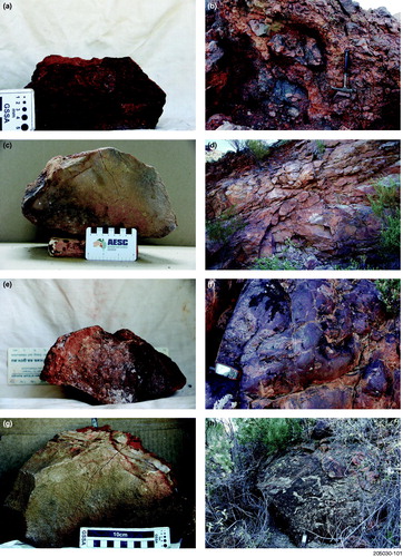 Figure 6. Images of the Radium Ridge Breccia geochronological samples: (a) R2430629 sample Mt Painter No. 6 Working; (b) R2430629 Mt Painter No. 6 Working outcrop; (c) R2381597 sample Mt Gee West; (d) R2381597 Mt Gee West outcrop; (e) R2413919 sample Mt Gee West; (f) R2413919 Mt Gee West outcrop; (g) R2381598 sample Mt Gee West; (h) R2381598 Mt Gee West sandstone outcrop.