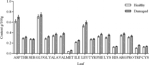 Figure 1. Types and contents of amino acids in leaves of C. korshinskii.Note: Data show the mean ± standard deviation (n = 3).