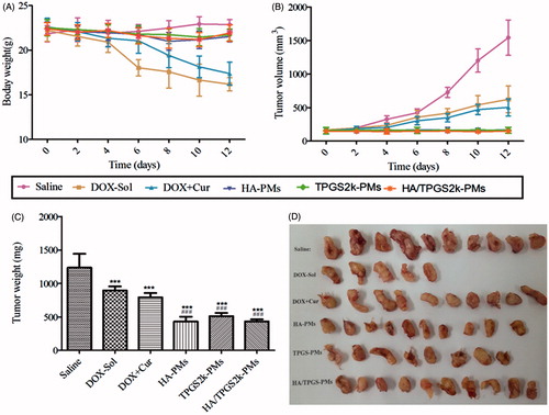 Figure 5. In vivo antitumor effects on 4T1-bearing mice after intravenous administration with saline, DOX, DOX + Cur, HA-PMs, TPGS2k-PMs and HA/TPGS2k-PMs. The changes of mice weight (A) and tumor volume (B) after treated with different formulations at a dose of 10 mg DOX/kg. The tumor weight (C) and representative excised tumor (D) from the sacrificed mice at day 10 (**p < .01 compared with saline group, ###p < .001 compared with DOX group).