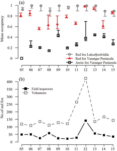 Figure 3. (a) Time series of Arctic fox and red fox occupancy rates based on baited camera-trap stations on the Varanger Peninsula, where red fox culling took place, and Laksefjordvidda (100 km to the south-west of Varanger Peninsula; see Fig. 1), without culling. The estimates are obtained from occupancy models for which true absence from camera stations can be distinguished from non-detection by incorporating presence/absence and detection/non-detection as two distinct components in the model (Henden et al. Citation2014). We allowed the detection probabilities to vary between years. (b) The number of red foxes culled by field inspectors of the Norwegian Environment Agency and volunteers.