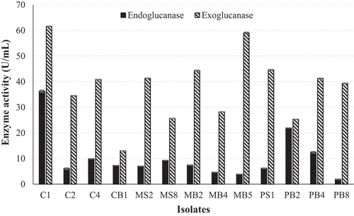 Figure 2. Quantification of endoglucanase and exoglucanase activity of the 13 isolates that displayed the highest β-glucosidase activity using the crude enzyme extract produced at 30 °C, 125 r/min and the DNS assay with avicel and CMC as substrates, respectively at OD 540 nm (Mean ± SD, N = 4).