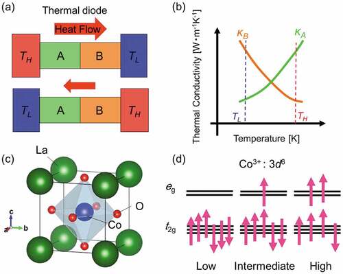 Figure 1. (a) Schematic illustration of a thermal diode consisting of two materials A and B with different temperature dependences of the thermal conductivity. TH and TL denote high and low temperature, respectively. (b) Schematic showing the temperature dependences of the thermal conductivity required for the materials A and B. (c) Crystal structure of perovskite LaCoO3 with a pseudo-cubic setting. The actual lattice is slightly rhombohedrally distorted. (d) Three possible spin states coupled with orbital degrees of freedom in Co3+. Here, the tiny splitting due to the rhombohedral distortion is neglected.