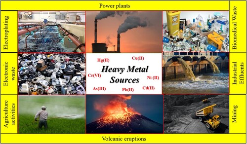 Figure 1. Natural and anthropogenic sources of heavy metal ions in the water.