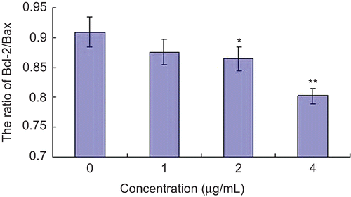 Figure 5.  Effect of Aikete injection on the expression of Bcl-2/Bax in SMMC-7721 cells. Different concentrations of Aikete injection were added to SMMC-7721 cell culture for 48 h and then cells were harvest to be processed. The expression of Bcl-2 and Bax were analyzed by flow cytometry. Data were the mean ± SD of three independent experiments. Compare with negative control: *P < 0.05 **P < 0.01