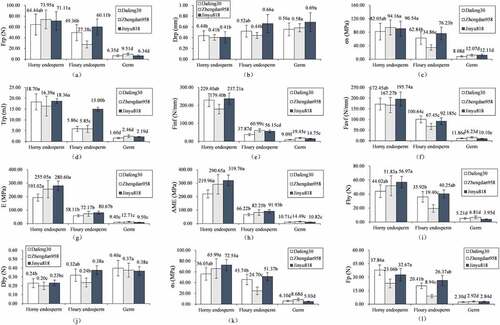 Figure 2. Puncture test results of horny endosperm, floury endosperm and germ in Zhengdan958, Dafeng30 and Jinyu818 at the moisture content of 17.64%. Error bar indicates the standard deviation. Values with different letters in each parameter are significantly different according to the Duncan multiple range test at α = 0.05. Values of p smaller than 0.05 indicate a significant difference at the 95% confidence level