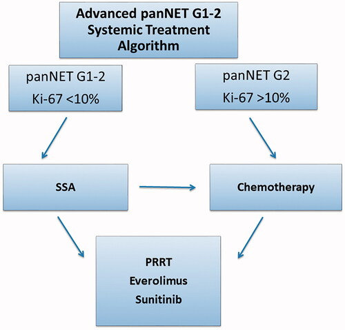 Figure 2. Treatment algorithm for the systemic treatment of pancreatic neuroendocrine tumours. * indicates treatment regimens with either streptozotocin + 5-fluourouracil or temozolomide ± capecitabine. Debulking treatment such as surgery, radiofrequency ablation and liver embolisation are not included in the algorithm. G: grade; SSA: somatostatin analogue; panNET: pancreatic neuroendocrine tumour; PRRT: peptide receptor radionuclide treatment.