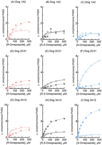 Figure 2. Omeprazole 5-hydroxylation and sulfoxidation activities of recombinant dog P450 1A2, 2C21, and 3A12 enzymes. 5-Hydroxylation (open circles) and sulfoxidation (closed circles) activities of dog P450 1A2 (A-C), 2C21 (D-F), and 3A12 (G-I) towards R-omeprazole (A, D, G), R,S- omeprazole (B, E, H), and S-omeprazole (C, F, I) were determined at substrate concentrations of 2.0–300 µM. Kinetic parameters for omeprazole 5-hydroxylation and sulfoxidation activities were calculated using nonlinear regression (mean ± standard error, n = 10 substrate concentrations, in triplicate) and are shown in Table 1.