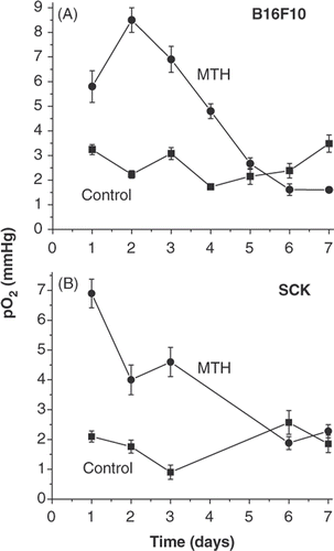 Figure 1. Tumour oxygenation as a function of daily fractionated mild temperature hyperthermia (41.5°C, 60 min). Tumour oxygenation is transiently increased by fractionated mild temperature hyperthermia (MTH) treatment in B16F10 and SCK tumors as measured in real time by Eppendorf histograph. -▪- control and -•- 41.5°C (60 min) heatings.