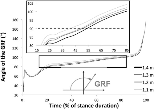 Figure 2. Average charts of the angle of the ground reaction force vector (right hind limb) to the horizontal, in 3 horses during take-off stance for jumping a 1.1–1.4 m high fence, at canter (left and right leads averaged). Inserts: zoom of the angle during central 70% of stance, and angle calculation convention. Dotted line: 90° (verticality of the GRF).