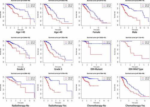 Figure 6. Outcome prediction of the autophagy-related signature in stratified patients with low-grade glioma (LGG). Survival analysis of prognostic LGG signature in patients stratified by age (≤ 40 and > 40), gender (female and male), grade (G2 and G3), IDH (mutant- and wild-type), radiotherapy (no and yes), and chemotherapy (no and yes)