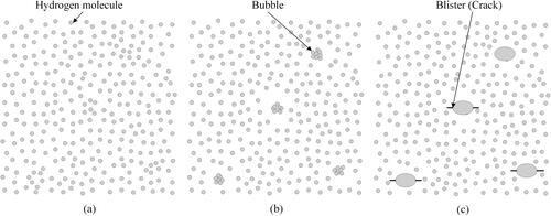 Figure 5. Model of blister initiation; (a) right after decompression, (b) bubble formation by clustering supersaturated hydrogen molecules, and (c) blister initiation due to stress concentration caused by bubbles.[Citation77]