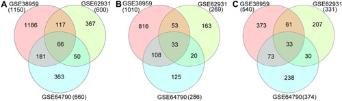 Figure 1 Venn diagrams of DEGs common to three Gene Expression Omnibus datasets. (A) Total DEGs; (B) upregulated DEGs; (C) downregulated DEGs.