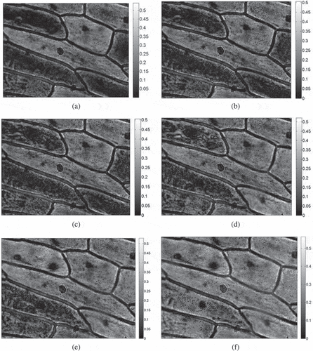Figure 6. Grey changes at the moment of ‘flashing’ during the ice crystal formation process at a freezing rate of 1.2°C/min using the image processing method (the scale of each plot refers to the range of grey values for all the pixels in each image).