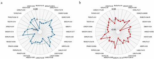 Figure 6. Relationship between Rap1b expression, TMB and MSI in pan-cancer. (a) The relationship between TMB and Rap1b. (b) The relationship between MSI and Rap1b. Spearman rank correlation test, P < 0.05 was considered statistically significance