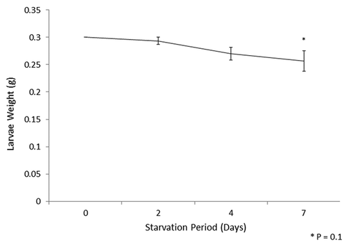 Figure 1. Average weight of G. mellonella larvae incubated in the absence of food for 7 d. Ten larvae each weighing 0.3 g, on three separate occasions, were incubated in the absence of food and weighed after 2, 4 and 7 d. The reduction in weight was calculated.