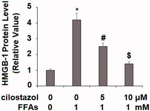 Figure 4. Cilostazol reduces FFA-induced release of high mobility group box-1 protein (HMGB-1) in HAECs. Cells were stimulated high FFAs (1 mM) with or without cilostazol (5, 10 μM) in HAECs for 36 h. Secretion of HMGB1 (1, 4.2, 2.5 1.4) as measured by ELISA (*, #, $, p < .01 vs. previous group).