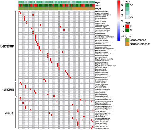 Figure 3 Comparison of the distribution of bacteria, fungi and viruses detected by mNGS between clinical concordance group and nonconcordance group. In the clinical concordance group, bacteria and fungi were mainly detected by mNGS; Only virus was detected in mNGS in the clinical nonconcordance group; Each row on the vertical plane represents a sample, and each row on the horizontal plane represents potential pathogenic bacteria; The top is the clinical phenotype, and the color block on the right represents the specific value of the clinical phenotype.