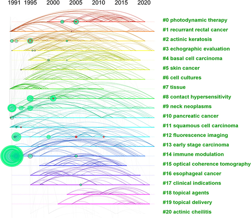 Figure 7 Timeline distribution of the top 20 keywords in the field of PDT on skin cancer.