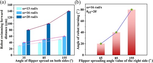 Figure 18. Experimental tests on the swimming performance of the robot based on the flipper mechanism of this paper: (a) forward swimming distance test and (b) swimming test for turning angle.