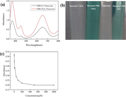 Figure 6. (a) UV-vis spectra of different systems which was determined after reaction for 10 min (b)The photographs of TMB, H2O2 or their mixed solution with nanozyme which reacted in the 30 °C water bath thermostatic oscillator for 10 min. (c) The absorbance changes at 652 nm of the TMB system with different concentration of ascorbic acid.