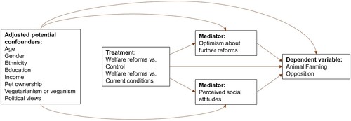 Figure 1. Mediation model testing two mediators of intervention effects on animal farming opposition. This figure does not show the treatment–mediator or mediator–mediator interactions, which were included in the model.