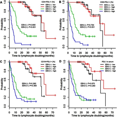 Figure S3 Time to lymphocyte doubling in patients with chronic lymphocytic leukaemia and detectable [EBV(+)] and undetectable [EBV(−)] EBV DNA according to high or low expression of PD-L1 on CD4+, CD8+, and CD19+ cells and in serum. The classification of PD-L1 expression as high or low was based on medians specific for EBV(+) and EBV(−) patients. P-values for log-rank tests are presented for comparisons between patients with high or low PD-L1 expression within the groups of EBV(+) and EBV(−) patients. p-values are for log-rank tests, adjusted with Holm’s correction, comparisons between patients with high or low expression within the EBV(−) or EBV(+) groups.Abbreviations: EBV, Epstein-Barr virus; PD-L1, programmed cell death protein ligand 1, EBV(−), patients without detectable EBV DNA; EBV(+), patients with detectable EBV DNA; low, expression below median within the EBV(−) or EBV(+) groups; high, expression above median within the EBV(−) or EBV(+) groups.