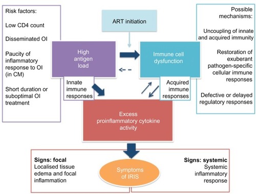 Figure 2 A conceptual model of immune reconstitution inflammatory syndrome (IRIS) pathophysiology with three key features represented in central rectangles.