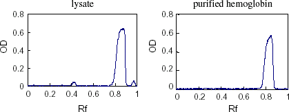 Figure 7. Scanning profile of SDS-PAGE electrophoretogram for purified hemoglobin. (View this art in color at www.dekker.com.)