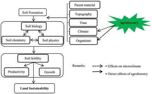 Figure 2. Agroforestry influences on soil fertility, growth and productivity of the plant and land sustainability