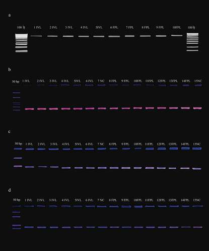 Figure 2. a) 0.8% agarose gel stained with ethidium bromide (EB) with DNA samples of CCN51. Lanes 1 − 5 in vitro somatic embryogenesis (IVL) and 6–10 ex vitro field graft plants (FPL). M: 1 kb molecular marker (HyperLadder® Bioline). Amplification of different SSR in agarose gel (3%) separation PCR products for FPL and IVL from CCN51: lanes 1–6 IVL, 8–14 FPL, 7, and 15 negative controls (NC). b) mTcCIR25. c) mTcCIR15. d) mTcUniCamp9. M: 50bp molecular marker (HyperLadder® Bioline)