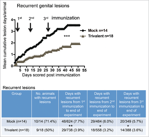 Figure 3. The trivalent vaccine reduces the number of days with recurrent genital lesions. Mean cumulative lesion days per guinea pig in mock and vaccinated groups. Arrows represent immunization days. The p value was calculated using Prism software by 2-way ANOVA. The table below the graph lists the number of animals that had recurrent lesions, and the total number of lesion days per group after the first, second or third immunization until the end of the experiment. The p values comparing mock and trivalent groups in the table were calculated using the Fisher's exact test: p = 0.29 comparing number of animals with recurrent disease; * p < .05, ** p < .01.