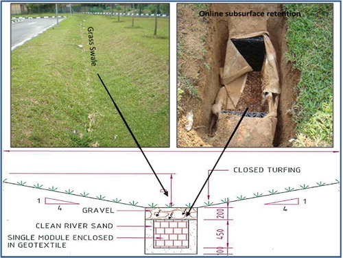 Figure 3. Cross-sectional profile of ecological ditch/swale. Source: REDAC (Citation2005).