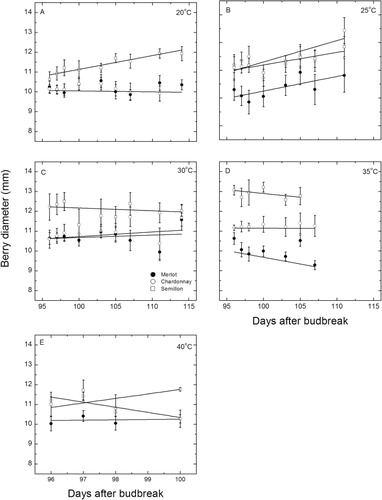 Figure 1 Changes in berry diameter (mean ± SE, n = 12–15) during exposure to different temperature treatments for each of three cultivars as indicated. A, 20/14 °C; B, 25/17.5 °C; C, 30/21 °C; D, 35/24.5 °C; E, 40/28 °C day/night temperatures. The lines are fitted linear regressions to each data set. See the text for an explanation of the statistical significance of each line. Note the change in scale of the x axis of graph E.