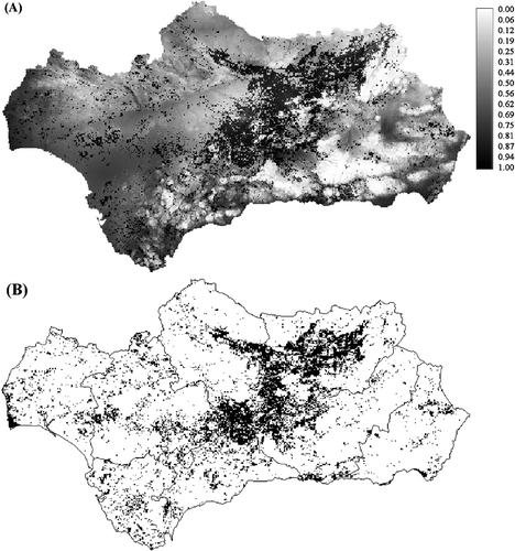 Figure 4 A, Favourableness values for wild rabbit good hunting yields in each 1×1 km square of Andalusia, shown on a scale ranging from 0 (white) to 1 (black). B, Only the 1×1 km squares where the favourableness to obtain good hunting yields is higher than 0.8 are shown (in black). Black lines correspond to province limits.