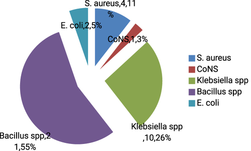 Figure 2 Bacterial species Isolated from Surface articles and equipment of OR in Dilchora Referral Hospital, Ethiopia.