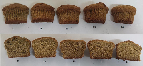 Figure 2. Visual appearance of crust (above) and crumb (below) of gluten free muffins prepared from different proportions of rice, millet and wheat flour. C: control RF (rice flour): PMF (pearl millet flour): OMP (oyster mushroom powder (70:30:0), Fl: RF: PMF: OMP (65:30:5), F2: RF: PMF: OMP (60:30:10), F3: RF: PMF: OMP (55:30:15), F4: RF: PMF: OMP (50:30:20)