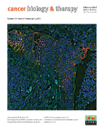 Cover image for Cancer Biology & Therapy, Volume 13, Issue 3, 2012