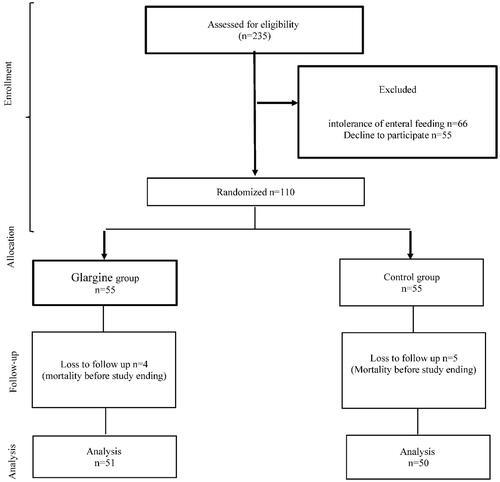 Figure 1 CONSORT flow diagram.