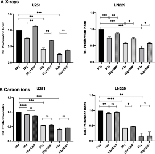 Figure 3 Elevated glycolysis reduces X-rays induced growth inhibition. Relative proliferation index was observed at the end of 48 h post-irradiation (A) X-rays and (B) carbon ions radiation to U251 and LN229 cells with or without DNP stimulation as shown in panel. Data represent three independent experiments. P values were determined by an unpaired two-tailed Student’s t-test. *P < 0.05; **P < 0.01; ***P < 0.001; ****P < 0.0001.