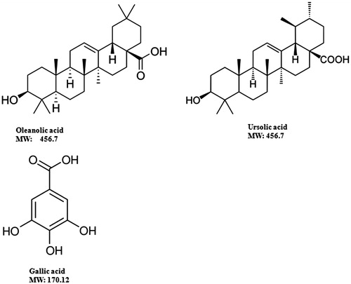 Figure 1. Chemical structures of ursolic acid, oleanolic acid, and gallic acid.