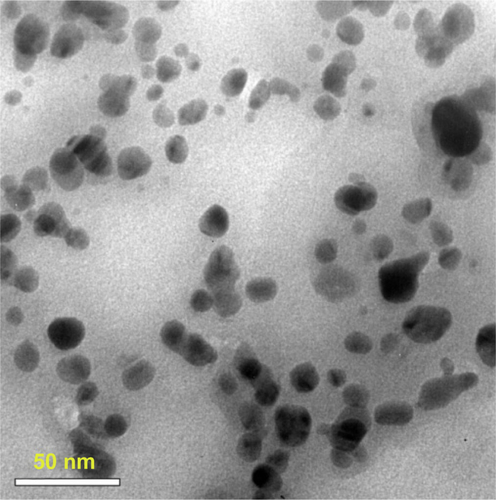 Figure S1 TEM image of bare Ag nanoparticles synthesized by a chemical method.Abbreviation: TEM, transmission electron microscopy.